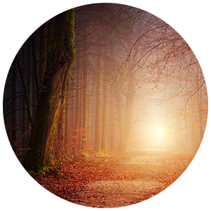 Retiro<br />
maleficios